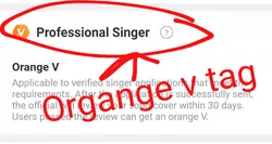 orange v tag option