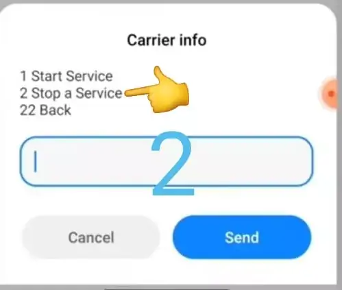 stop service on 2 number option