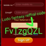 ludo fantasy referral code